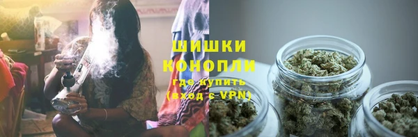 сатива Балахна