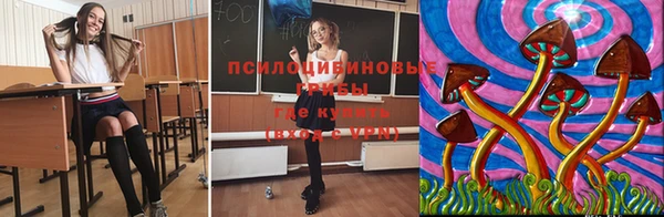 MESCALINE Аркадак