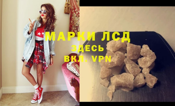 сатива Балахна