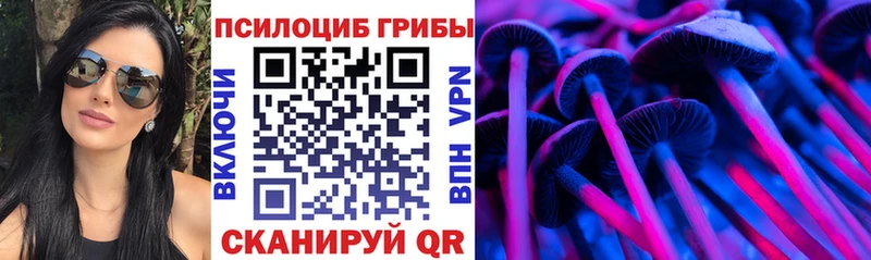 Галлюциногенные грибы Cubensis Сельцо